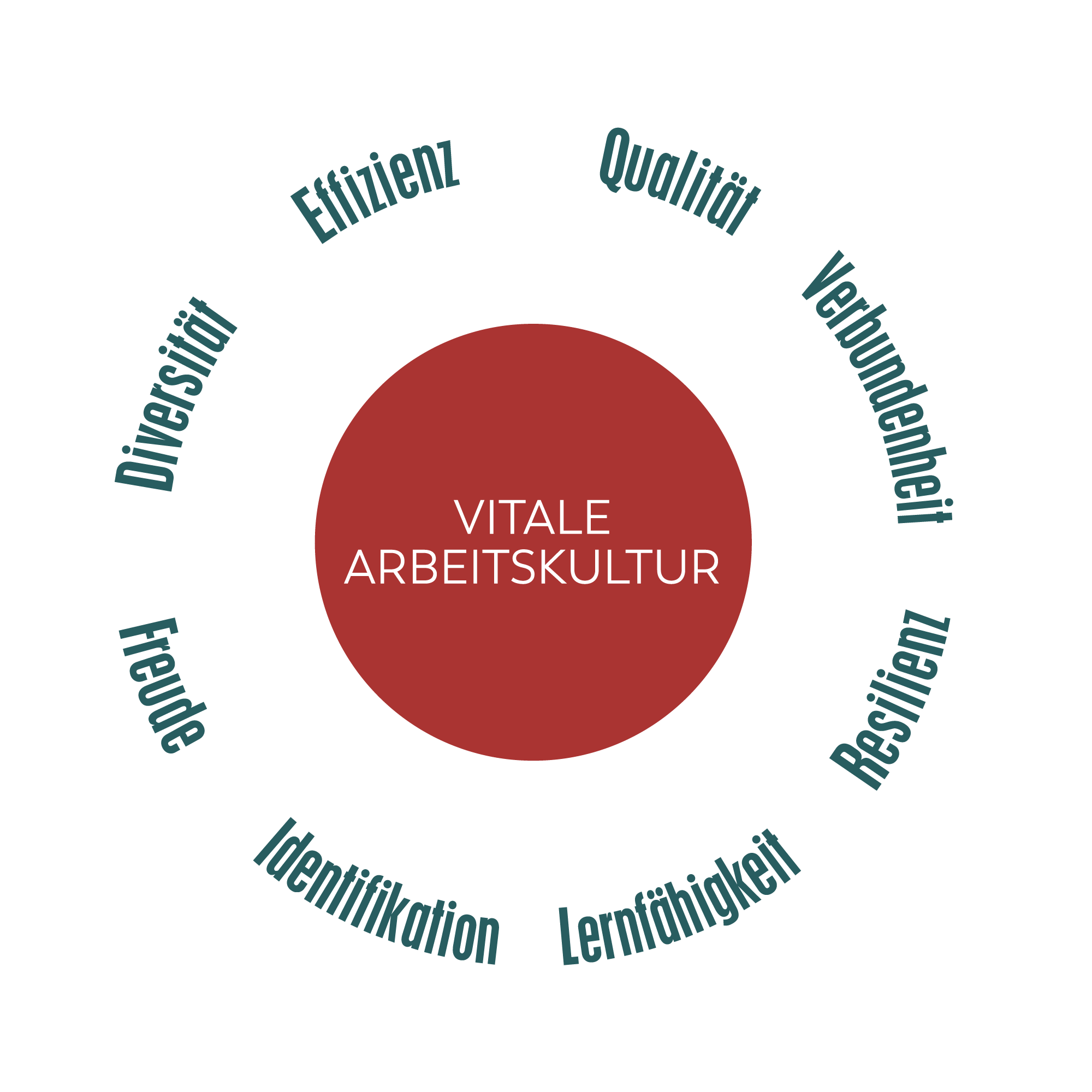 Ein kreisförmiges Diagramm zeigt verschiedene Aspekte der Arbeitskultur in lebendigen Farben.
